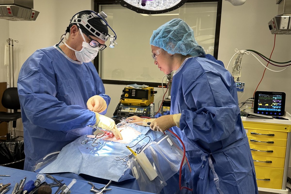 Translational research visualization